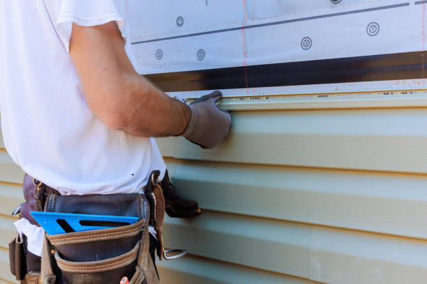 Affordable Emergency Siding Repair solutions in Paris, IL